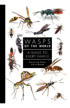 Wasps of the World: A Guide to Every Family - Simon Van Noort