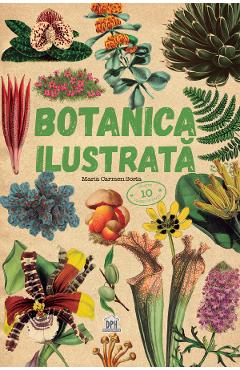 Botanica ilustrata - Maria Carmen Soria