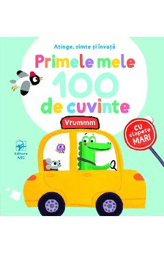 Primele mele 100 de cuvinte. Vrummm - ARC