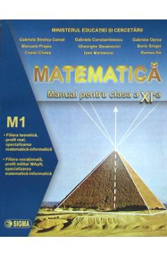 Matematica cls 11 M1 - Gabriela Constantinescu, Costel Chites