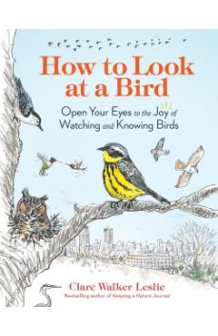 How to Look at a Bird: Open Your Eyes to the Joy of Watching and Knowing Birds - Clare Walker Leslie