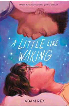 A Little Like Waking - Adam Rex