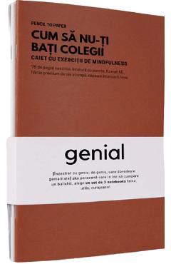 Set de 3 caiete geniale: Instrumente de defulare la birou