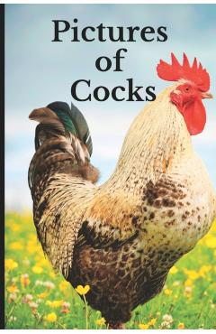 Pictures of Cocks: Funny White Elephant, Yankee Swap, Secret Santa Gift, (Stupid Gifts Ideas) - Pete Stack