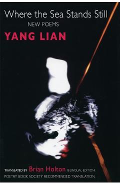 Where the Sea Stands Still - Yang Lian - Imagine 1