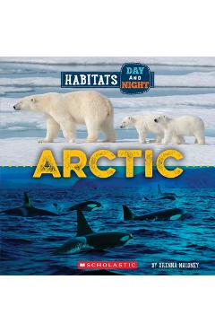 Arctic (Wild World: Habitats Day and Night) - Brenna Maloney