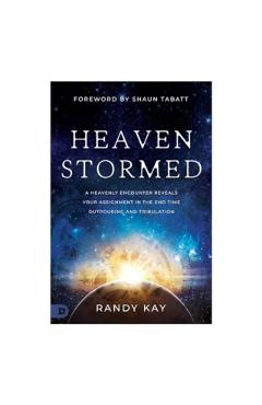 Heaven Stormed: A Heavenly Encounter Reveals Your Assignment in the End Time Outpouring and Tribulation - Randy Kay