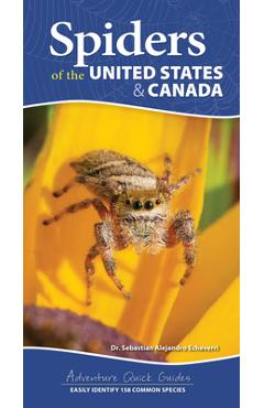 Spiders of the United States & Canada: Easily Identify 153 Common Species - Sebastian Alejandro Echeverri