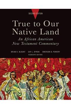 True to Our Native Land, Second Edition: An African American New Testament Commentary - Brian K. Blount