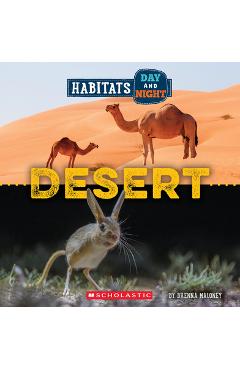 Desert (Wild World: Habitats Day and Night) - Brenna Maloney