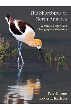The Shorebirds of North America: A Natural History and Photographic Celebration - Pete Dunne