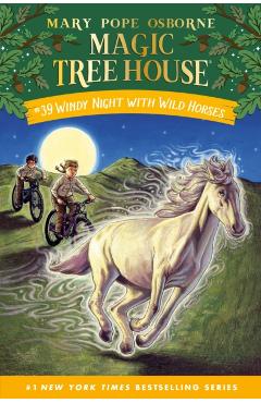 Windy Night with Wild Horses - Mary Pope Osborne