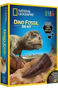 Sa cautam dinozauri. Kit educativ STEM