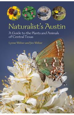 Naturalist's austin: a guide to the plants and animals of central texas - lynne m. weber