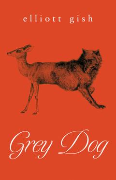 Grey Dog - Elliott Gish - Imagine 1