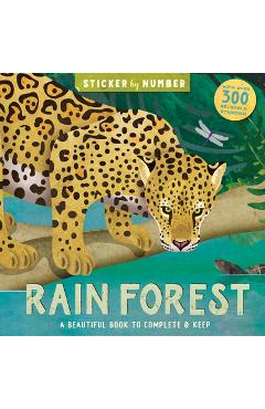 Rain Forest - Kathryn Jewitt