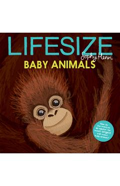Lifesize Baby Animals - Sophy Henn