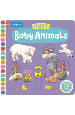 Busy Baby Animals - Campbell Books