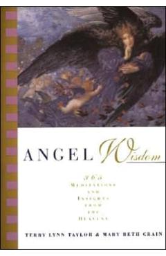 Angel Wisdom: 365 Meditations from the Heavens - Terry Lynn Taylor
