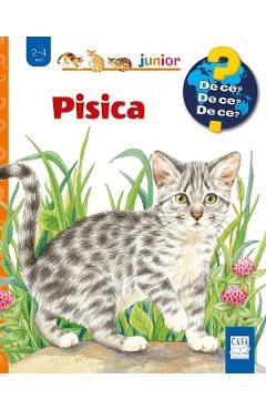 Pisica - Patricia Mennem