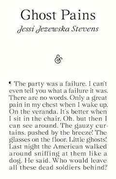 Ghost Pains - Jessi Jezewska Stevens