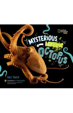 Mysterious, Marvelous Octopus! - Paige Towler