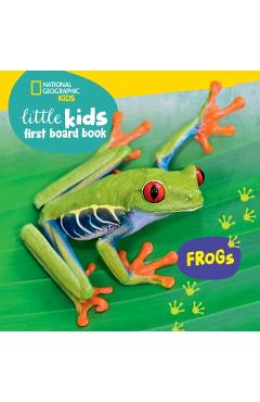 Little Kids First Board Book: Frogs - Ruth Musgrave