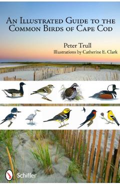 An Illustrated Guide to the Common Birds of Cape Cod - Peter Trull