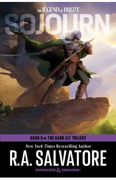 Dungeons & Dragons: Sojourn (the Legend of Drizzt): Book 3 of the Dark Elf Trilogy; New York Times Bestselling Author - R. A. Salvatore