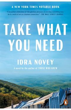 Take What You Need - Idra Novey