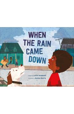 When the Rain Came Down - Leslie Helakoski