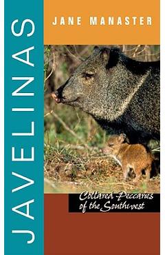 Javelinas: Collared Peccaries of the Southwest - Jane Manaster