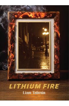 Lithium Fire - Liam Taliesin