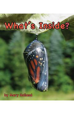 What\'s Inside? - Mary Holland