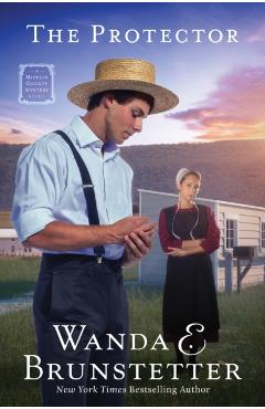 The Protector: A Mifflin County Mystery - Book 1 Volume 1 - Wanda E. Brunstetter