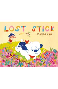 Lost Stick - Anoosha Syed