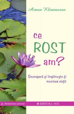Ce rost am? - Aimen Klimmeron - MIX