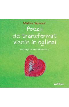 Poezii de transformat visele in oglinzi - Matei Visniec, Andra Badulescu