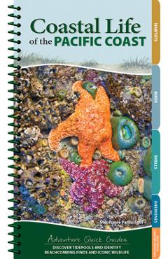 Coastal Life of the Pacific Coast: Discover Tidepools and Identify Beachcombing Finds and Iconic Wildlife - Stephanie Panlasigui