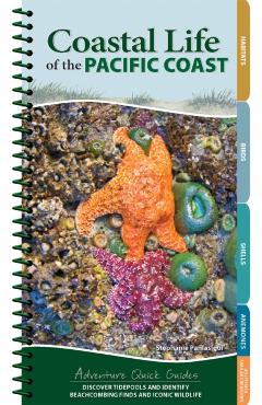 Coastal Life of the Pacific Coast: Discover Tidepools and Identify Beachcombing Finds and Iconic Wildlife - Stephanie Panlasigui