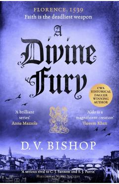 A Divine Fury - D. V. Bishop