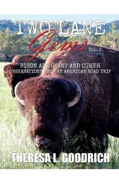 Two Lane Gems, Vol. 2: Bison are Giant and Other Observations from an American Road Trip - Theresa L. Goodrich
