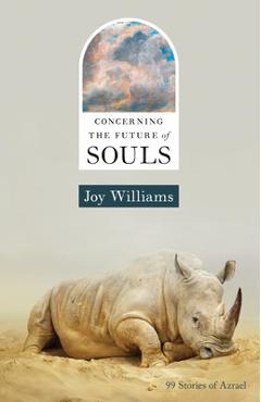 Concerning the Future of Souls - Joy Williams