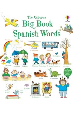 Big Book of Spanish Words - Mairi Mackinnon