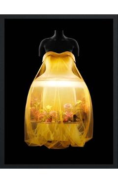 Sleeping Beauties - Andrew Bolton