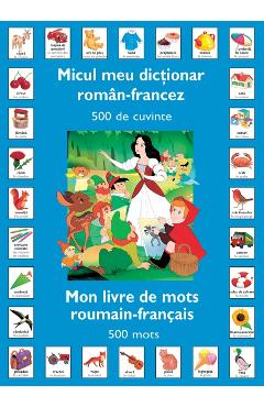 Micul meu dictionar roman-francez 500 de cuvinte 500 imagine 2022