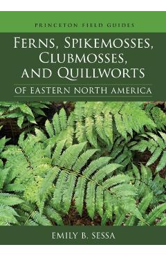Ferns, Spikemosses, Clubmosses, and Quillworts of Eastern North America - Emily Sessa