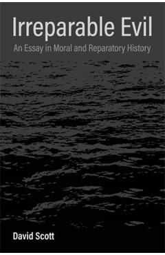 Irreparable Evil: An Essay in Moral and Reparatory History - David Scott