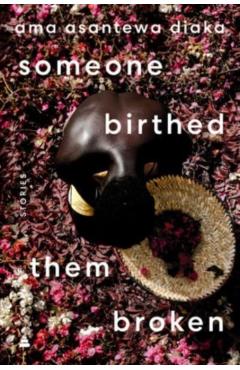 Someone Birthed Them Broken: Stories - Ama Asantewa Diaka