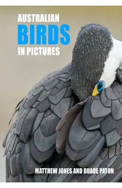 Australian Birds in Pictures - Matthew Jones